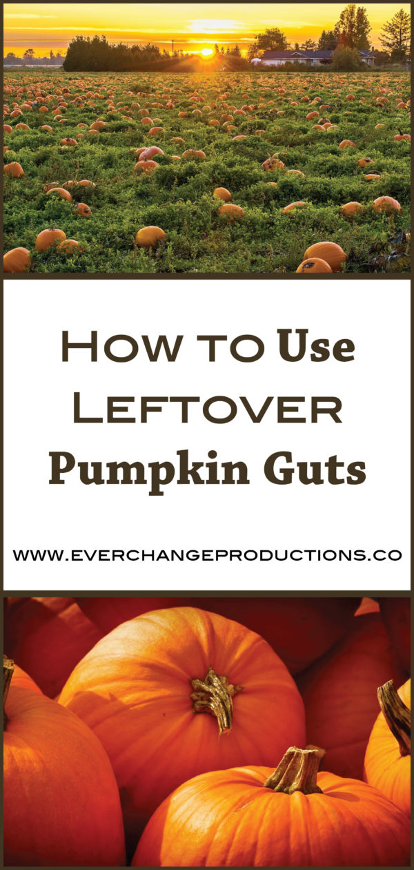 How To Use Leftover Pumpkin Guts 3458