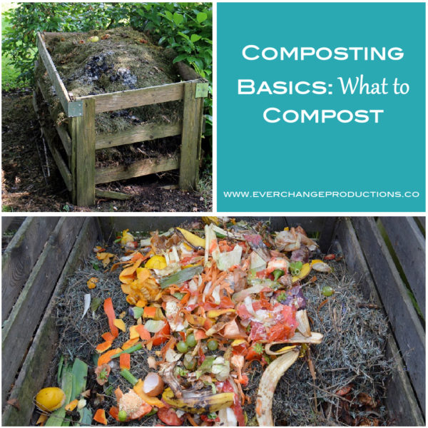 Composting Basics: What to Compost