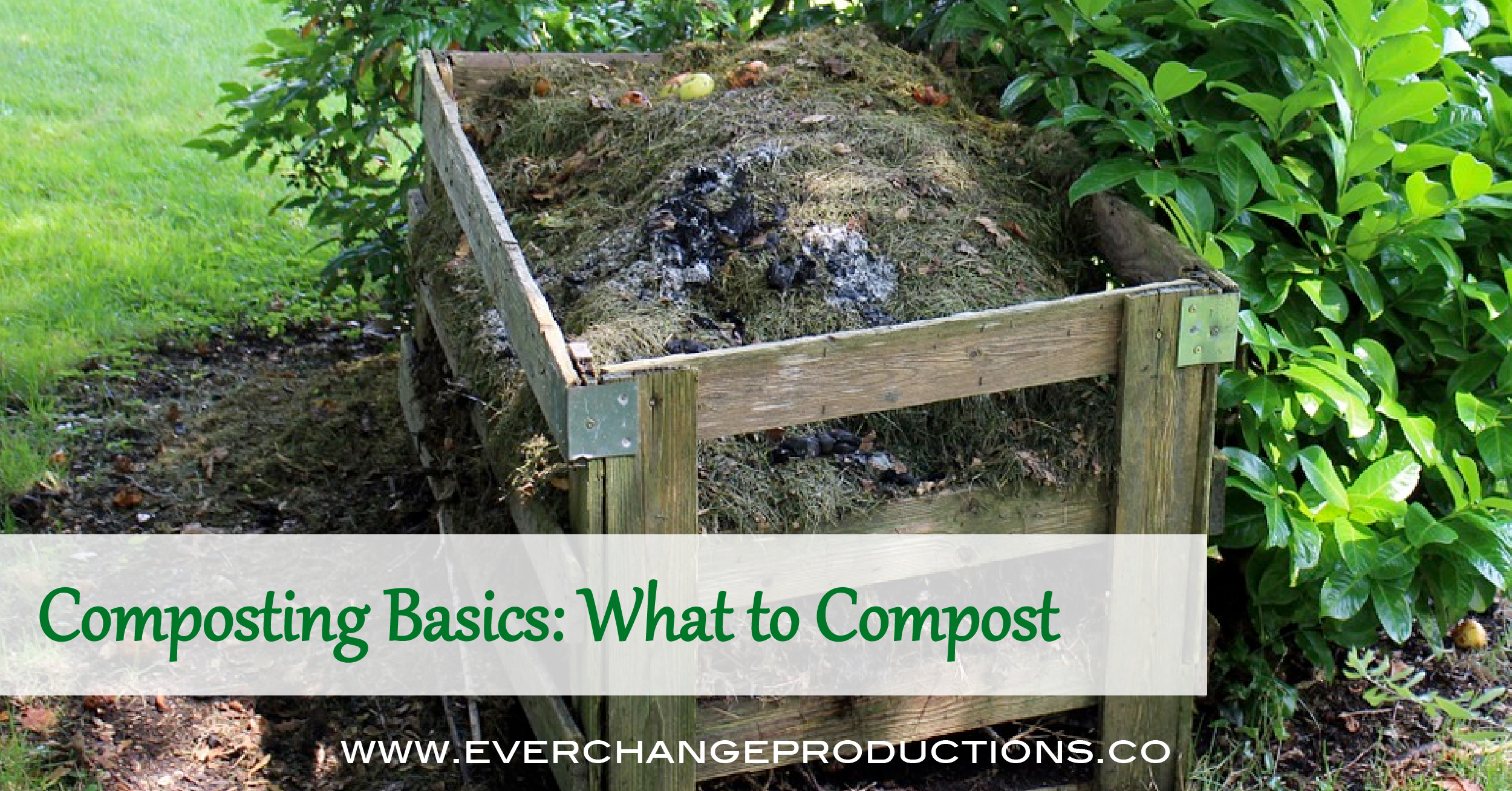 https://www.everchangeproductions.co/wp-content/uploads/2018/03/Composting-basics-01.png