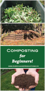 Basics of Composting for Beginners